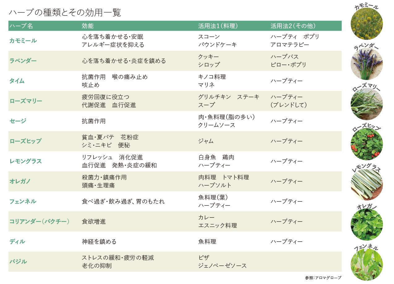 ハーブの力でもっと豊かにもっと快適に | コラム | ENTLinK(エントリンク)